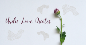 love quotes